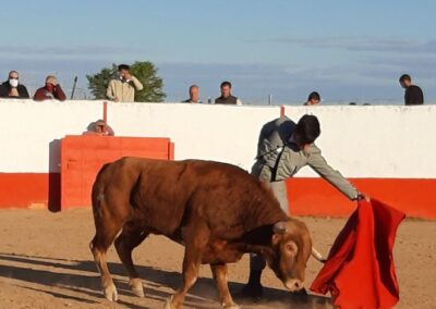 Víctor Cerrato destaca en el tentadero de machos en la Finca El Duende