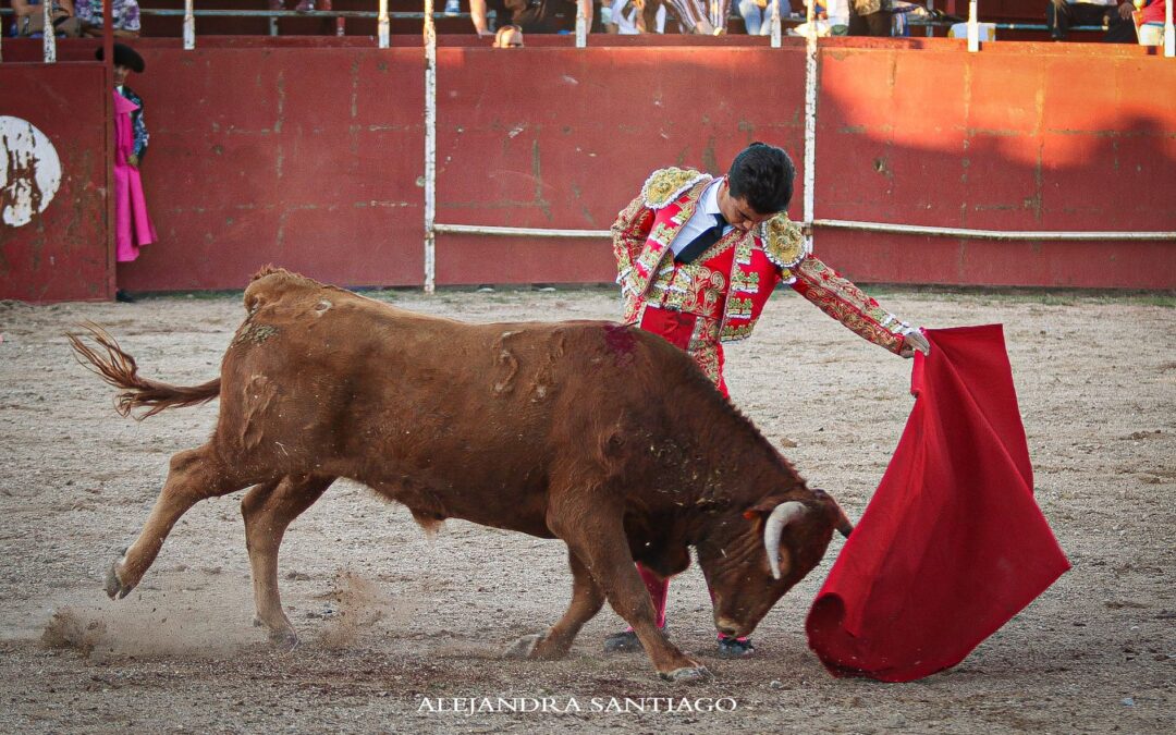 Víctor Cerrato cuaja una tarde rotunda de cuatro orejas y un rabo y Manuel Caballero lo acompaña a hombros con dos y otro rabo en Dosbarrios