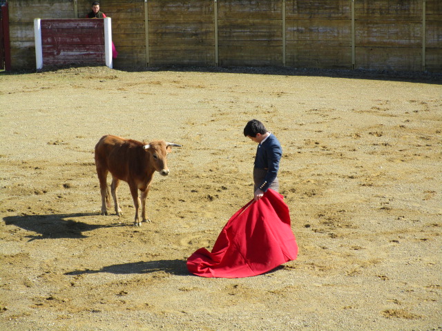 IMG_0782 Novillada, corrida, matador, cuadrilla, temporada, las ventas, nîmes, arles, mont de marsan, dax, bayonne, vic-fezensac, séville, picador, morante de la puebla, el juli, roca rey, ponce, emilio de justo, madrid, alicante, bilbao, santander,