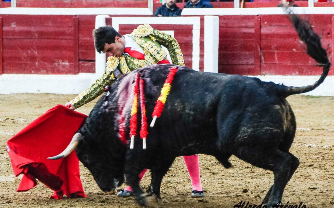 Toro cross à Guadarrama