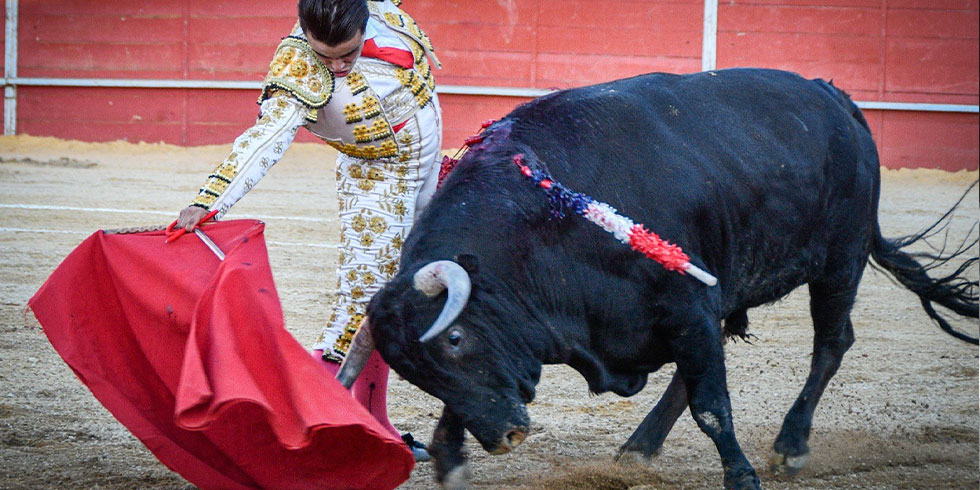 Victor Cerrato - Torrero