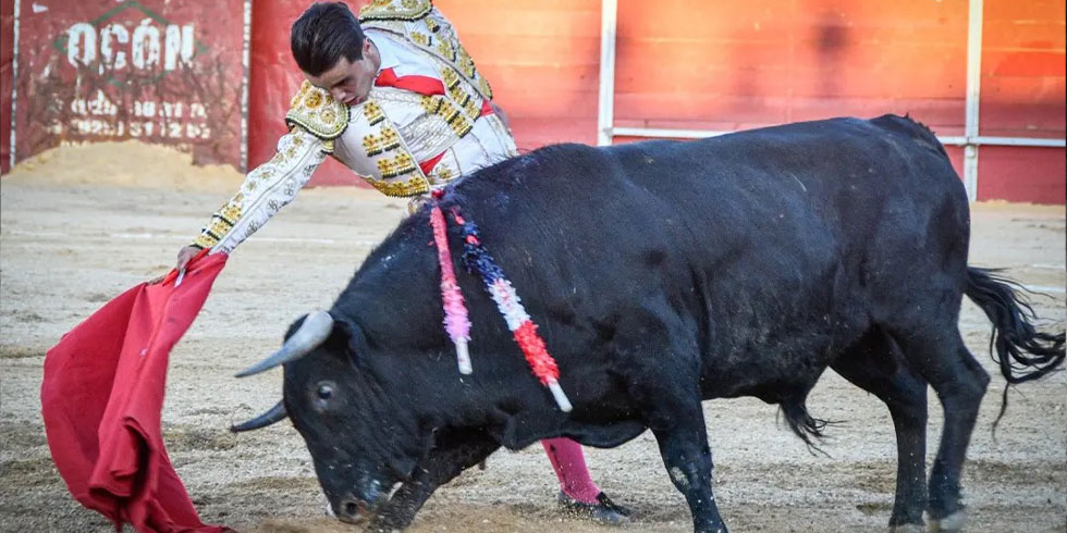 Victor Cerrato - Torrero - Videos