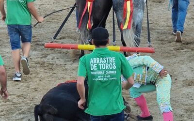 Vuelta du toro et du mayoral à Mejorada del Campo