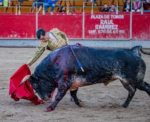 Gran dimensión de Víctor Cerrato en Los Molinos