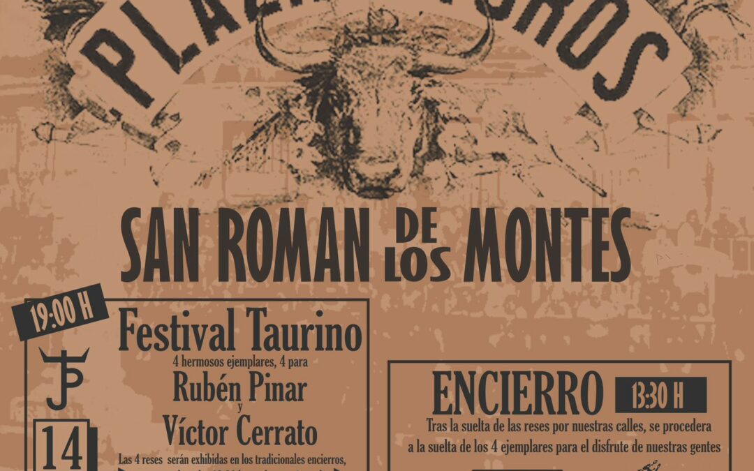 Festival à San Roman de Los Montes